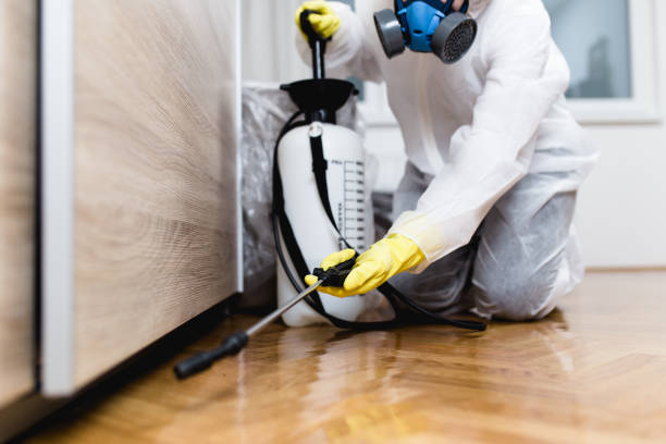 Best Pest Prevention Services  in Bellevue, OH